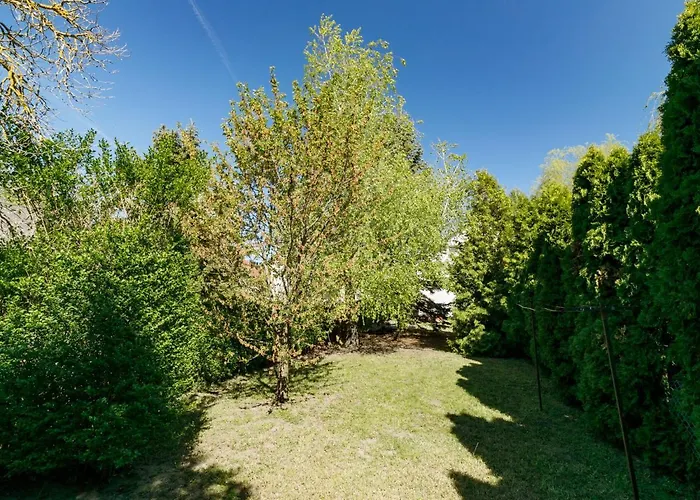 Mathias Rex By Interhome Balatonlelle